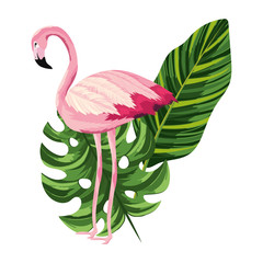 Sticker - tropical flamingo cartoon