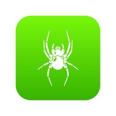 Wall Mural - Spider icon. Simple illustration of spider vector icon for web