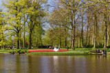 Fototapeta Miasto - Lisse, Netherlands - April 18, 2016: People and lake in the park of flowers Keukenhof