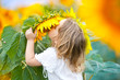 Baby girl in sunflowers field.