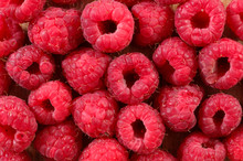 Raspberry Background,close Up On Fresh Raspberry