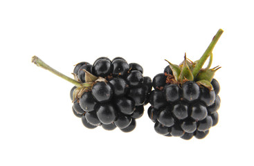 Wall Mural - blackberry isolated on white background