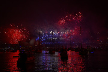 Wall Mural - Fireworks, Happy New Year, Sydney, Australia