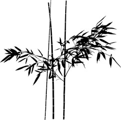 Wall Mural - black isolated bamboo leaves on three straight stems