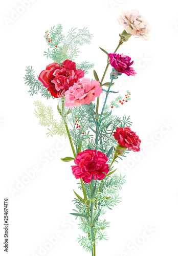 Bouquet of carnation schabaud, pink, white, red flowers, green twigs asparagu...