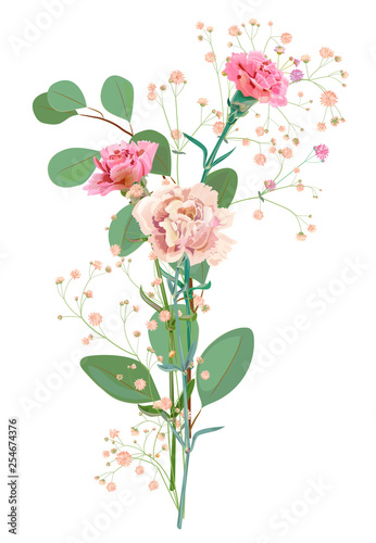 Bouquet of carnation schabaud, pink flowers, twigs gypsophile, eucalyptus pop...