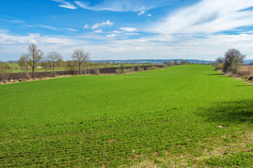 Green field in a beautiful landscape view