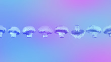 Mushrooms Are Arranged In A Row In Neon Light. Inverted, The Concept Of Independence, Think Differently. Format 9-16. Minimal Idea Food Concept. Business Concepts.