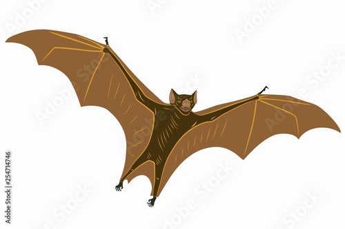 Illustration Of A Bat Vector Draw Buy This Stock Vector And