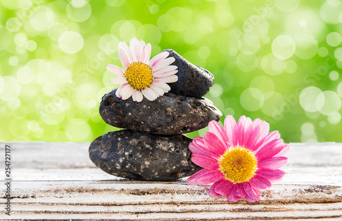 piedras y flores  sobre un fondo verde