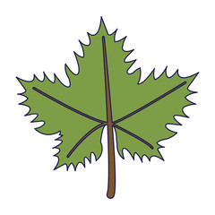 Poster - Grapes leaf symbol isolated