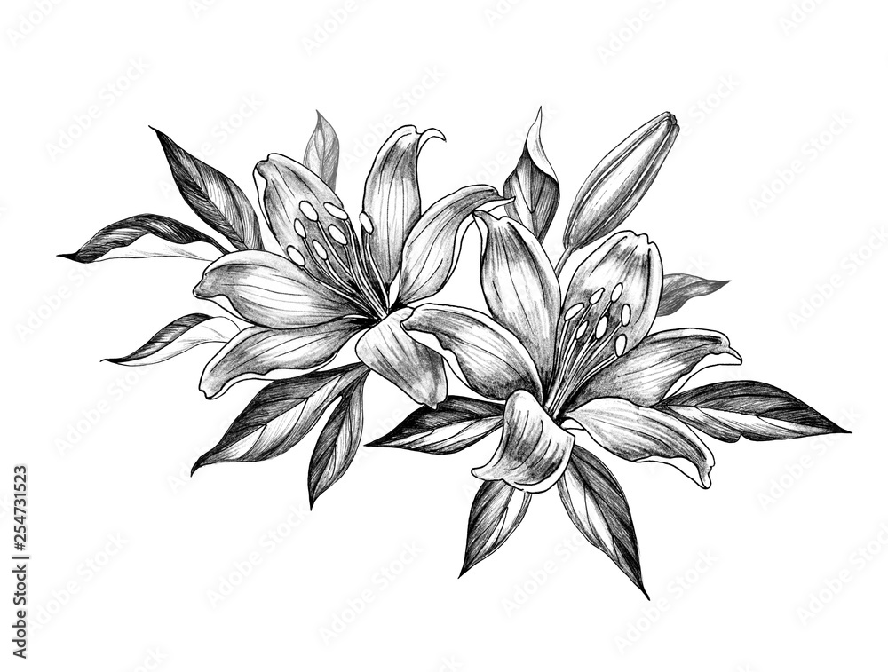 Hand drawn Floral Bunch with Lily Flowers Stock Illustration | Adobe Stock