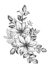 Hand Drawn Bunch With Two Flowers And Leaves