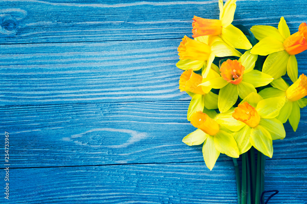 Daffodil flowers on blue wooden background - obrazy, fototapety, plakaty 