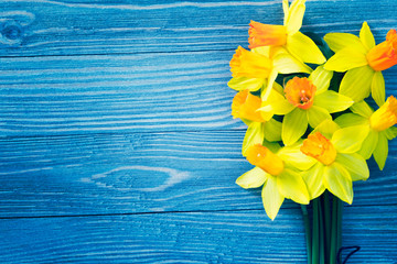 Wall Mural - Daffodil flowers on blue wooden background