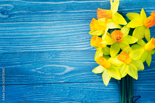 Daffodil flowers on blue wooden background