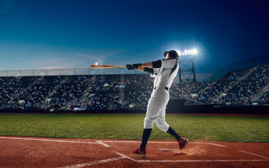 Wall Mural - Baseball