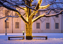 Holiday Decorations Of Vilnius. Lithuania