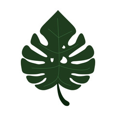 Wall Mural - Leaf nature plant symbol