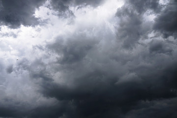 Wall Mural - dark, grim, stormy, rainy sky with rays of light. scary hurricane clouds. natural element. stock pho
