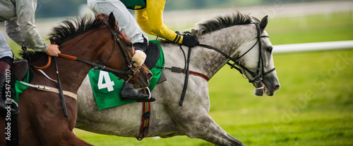 Fotomural Close up on two race horses competing in a race