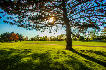 Beautiful panorama of green city park at dawn. Germany Cologne.