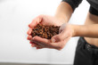 coffee beans in hands on white background