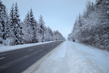 Wall Mural - Winter road through forest