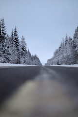 Wall Mural - Winter road through forest