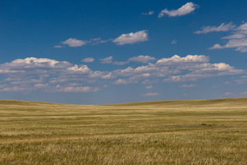 wyoming