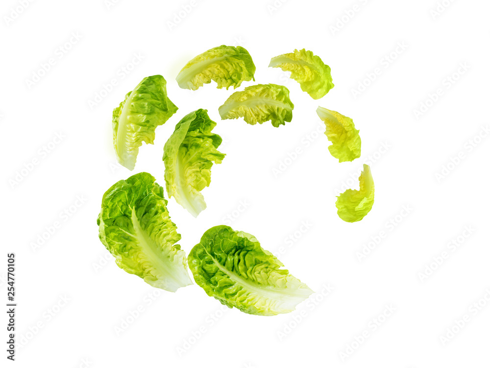 Spiral flying heap of green baby cos lettuce salad leaves - obrazy, fototapety, plakaty 