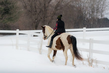 Girl Riding Bareback Along White Fence On Paint Horse. Winter Scene With Snow And Trees In Background. 