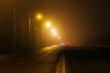© Mulderphoto - Foggy misty night road illuminated by street lights
