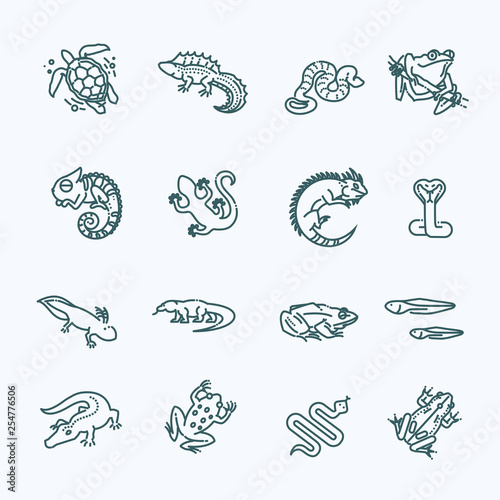 Fotografía Reptiles and amphibians icons set. Line design