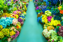 Flower Shop. Bouquets. Roses. Chrysanthemums. Peonies. Tulips. Hydrangeas. Multicolored Flowers Compositions. Sale Of Bouquets. Flowers As A Gift.