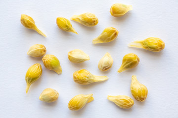 Orange fruit seeds on white background, Close up shot