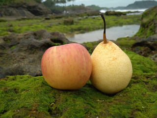 fruits with a nice background