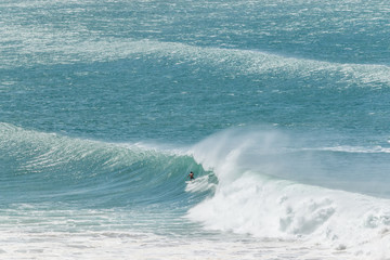 Wall Mural - man surfer catching big wave tropical emerald green ocean from top of the hill Kirra beach coolangatta gold coast queensland Australia 