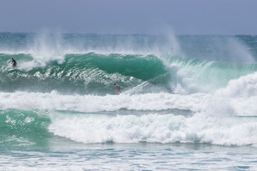 Wall Mural - man surfer catching big wave from Kirra beach Coolangatta Queensland Gold Coast Australia cyclone swell