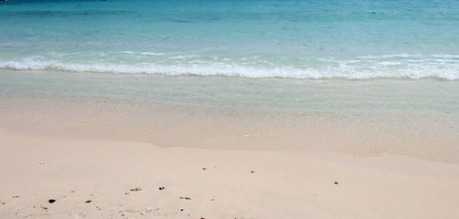 Canvas Print - Tropical beach