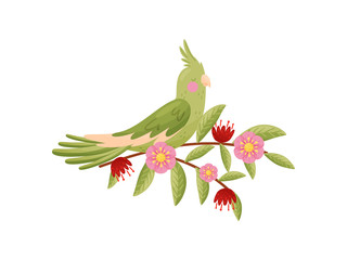 Wall Mural - green parrot with closed eyes sitting on branch.