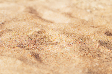 Sand surface, tropical beach background