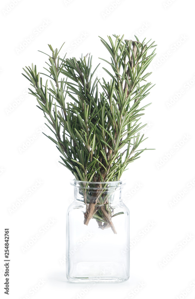 Bottle with fresh rosemary on white background