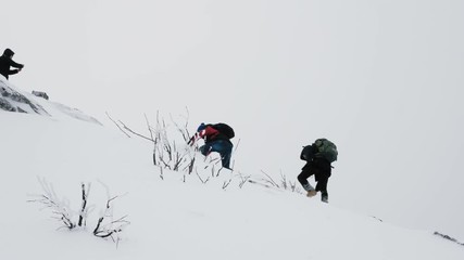 Wall Mural - A group of young people, tourists, with backpacks on their shoulders rises to the top of a snow-covered mountain. Slow motion.