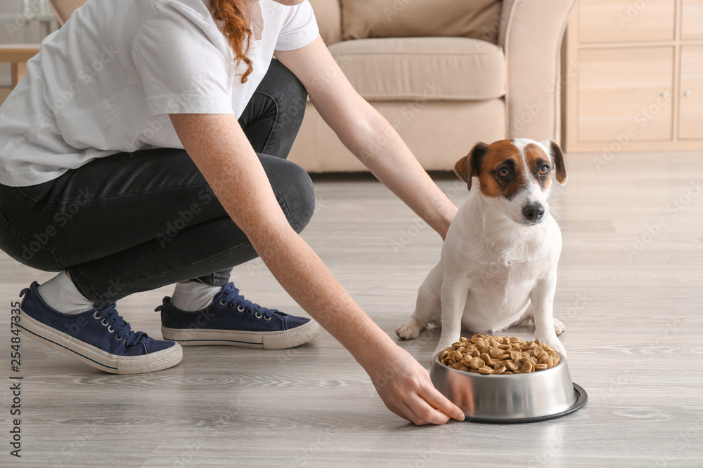 Woman feeding her cute dog at home