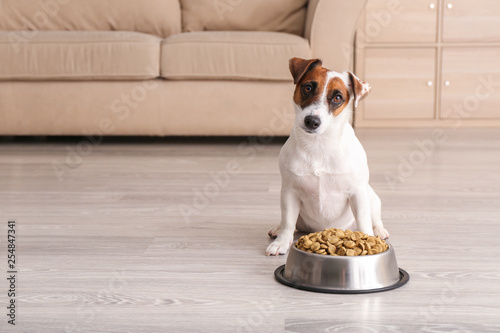 Fotografía Cute funny dog near bowl with dry food at home