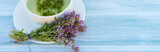 Fototapeta Lawenda - Healthy herbal tea with bunch of fresh wild thyme