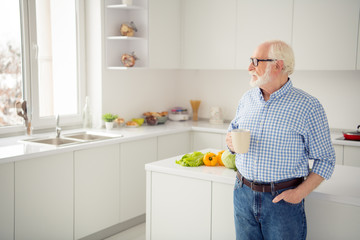 Wall Mural - Close up side profile portrait grey haired he his him grandpa hot beverage hand arm look window ponder pensive imagination flight wear specs casual checkered plaid shirt jeans denim outfit light room