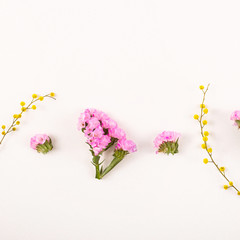 Wall Mural - Flowers on a white background - hello spring and hello summer