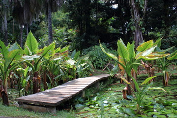 Poster - victoria botanical garden